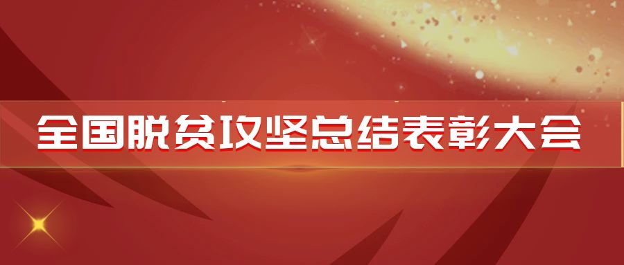 稅務(wù)系統(tǒng)6個集體受到黨中央、國務(wù)院表彰！來看看他們的先進事跡